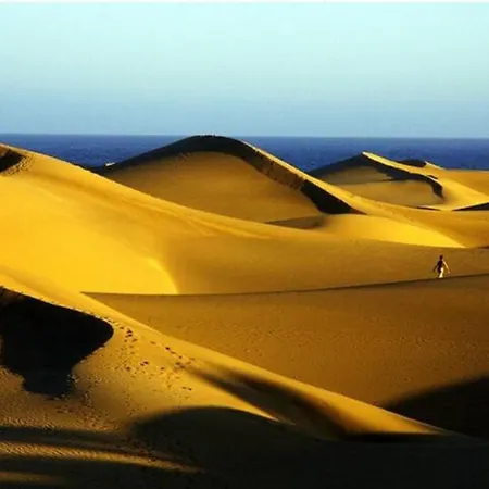 Bonito 103 By Casas Cocodrilo Appartement *