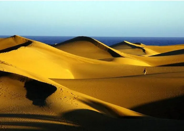 Bonito 103 By Casas Cocodrilo Lejlighed *